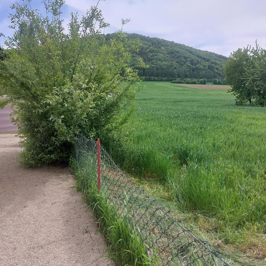 Ferienwohnung Rudat Treuchtlingen Εξωτερικό φωτογραφία